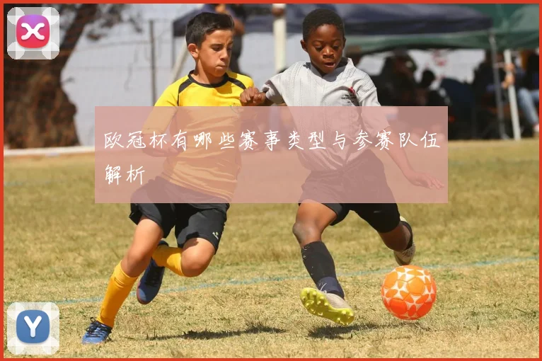 欧冠杯有哪些赛事类型与参赛队伍解析