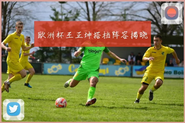 欧洲杯王正坤搭档阵容揭晓
